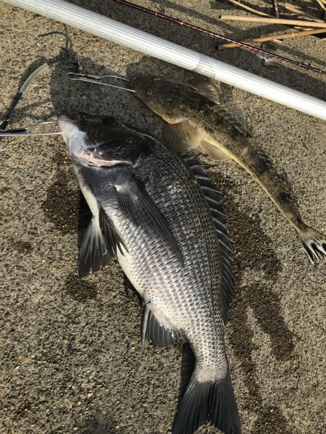 99842090-515d-4c08-8521-e193374574be