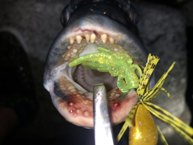 Dn8UUBwUJgaEq84QxWbMFgWuMYzS5vpnUdjZNy4NSy7IwyMPvPYhWvsn6kAx1fGVRib0PTDgQQQkNMaNM7X_pNT3RrV945nshuSBCD2xlAWL2quLYV-_MLDnm0aMsJqC