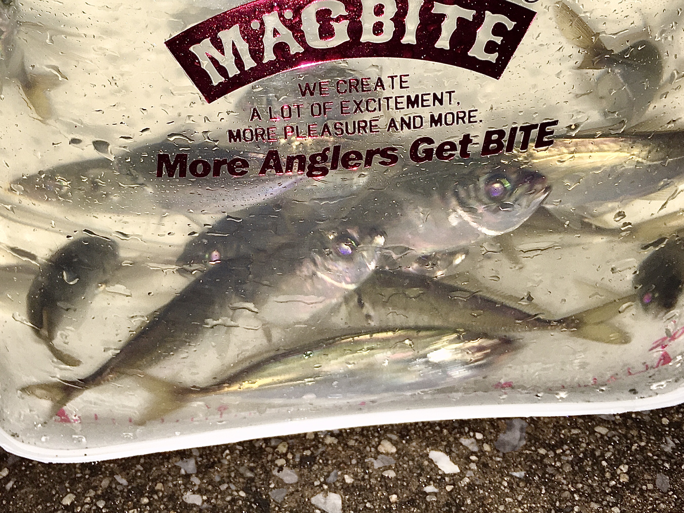 E4E07070-4AD8-4316-BCBF-E1A316AA293D