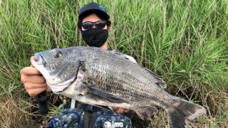 E51E02D3-D12B-4618-BD7C-3F3C932738A0