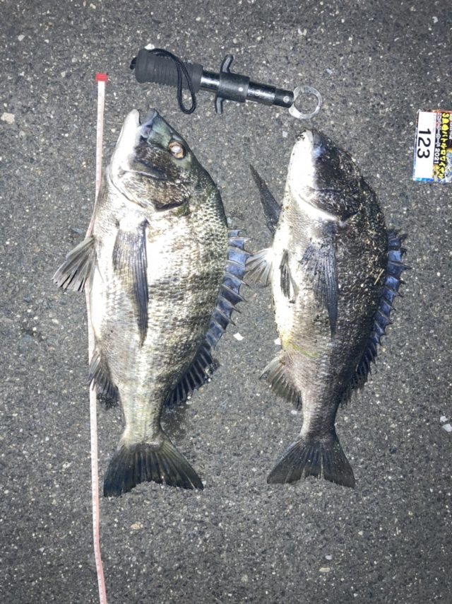 KxbI5y9JWIuv4A8J4dSBmaS-WmXLIRoc-u0efPvV3FbezxmyQZOMzWibqjlM3DL8uFsy_kppHc_kX-z1SbKAXludnQVLbPWTPAkNP84w8qWMlze1km96oU6PgH-D7xGc