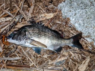 PXL_20210710_141847053~2