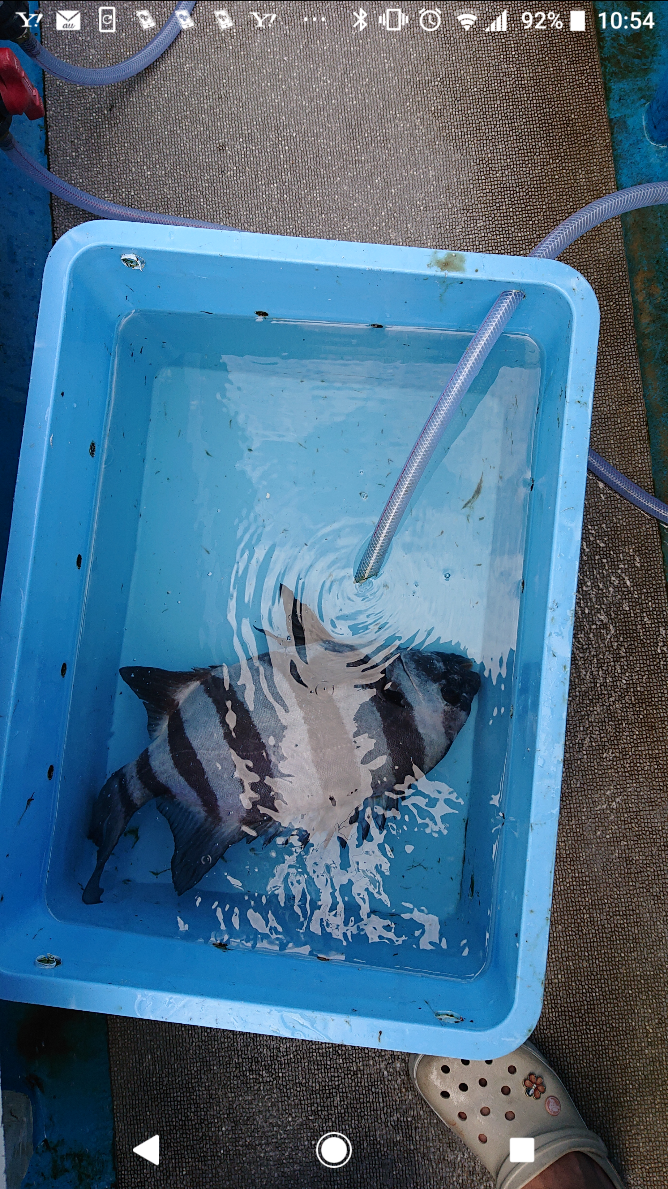 Screenshot_20210730-105422