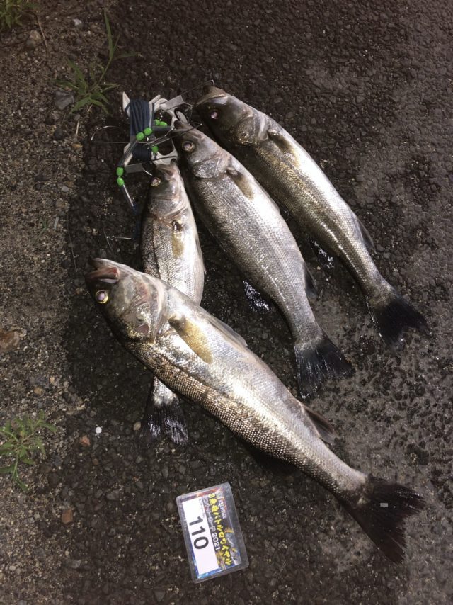 W4LtdNBW01ecY40KWQBMAAFHsvq-RgOmvWCaGZ5s3moPuQyaZ6jg69b_BoC2OLUnGMGO1APO7RszY11yPzfHFSkJfDyVN8tN4gHIWkImGU4l6V6Ib7fqVb_oRw2-rlQL