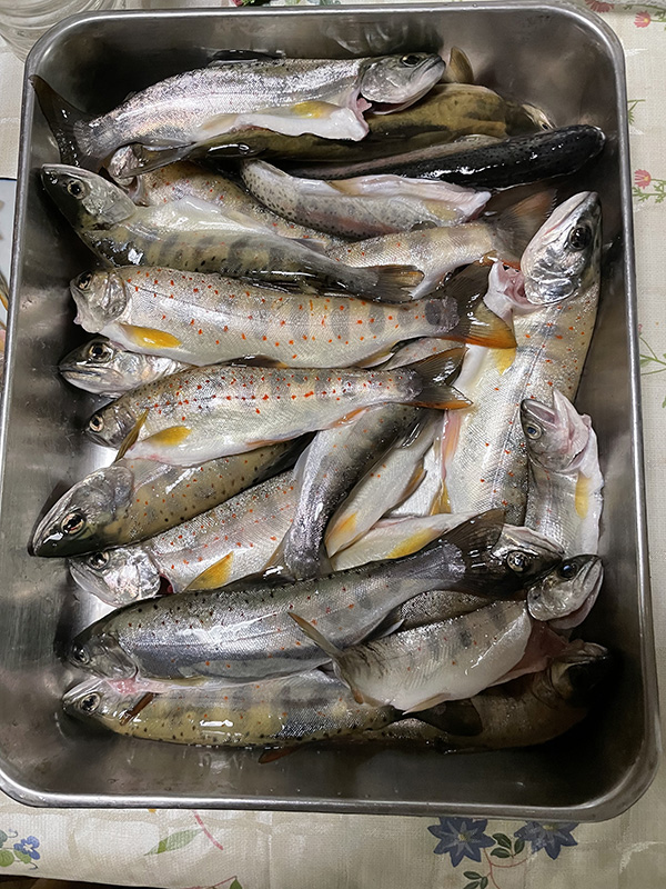 7月4日 久保田様