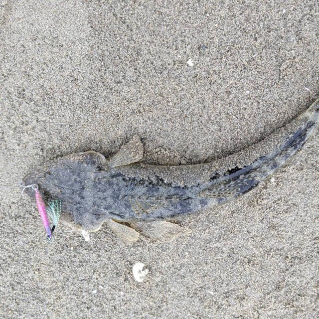 img_20210712_182634_092