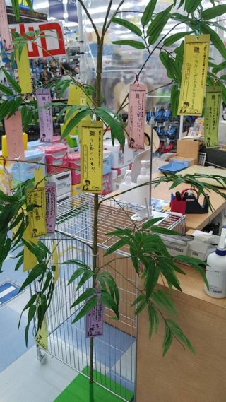 line_oa_chat_210708_180359