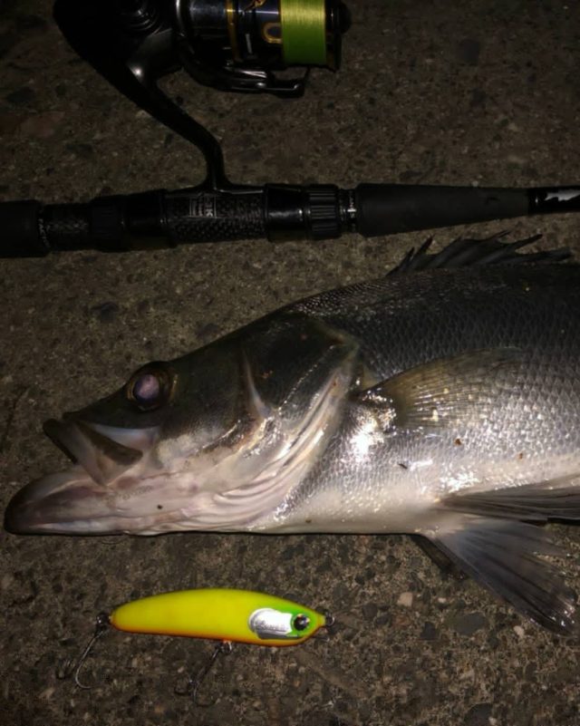 line_oa_chat_210726_112822