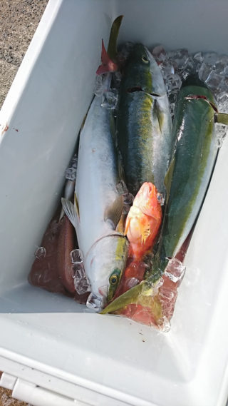 o0607108014977908406