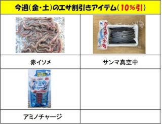 焼津８月エサポスター