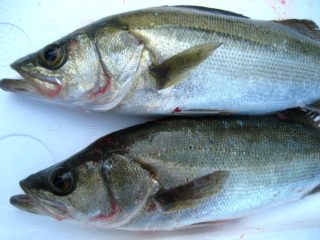 4980676229_7ea1b53427_b