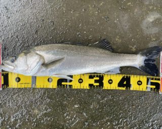 61C982B9-62F6-499A-9702-8EF0C1BBB76A