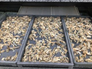 822DE7D4-E562-4798-967E-AB61C3211782