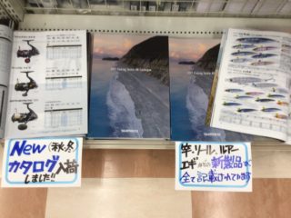 89E2E828-E7EF-4D6B-BB5A-C00045D41E89