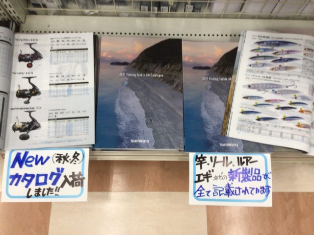 89E2E828-E7EF-4D6B-BB5A-C00045D41E89