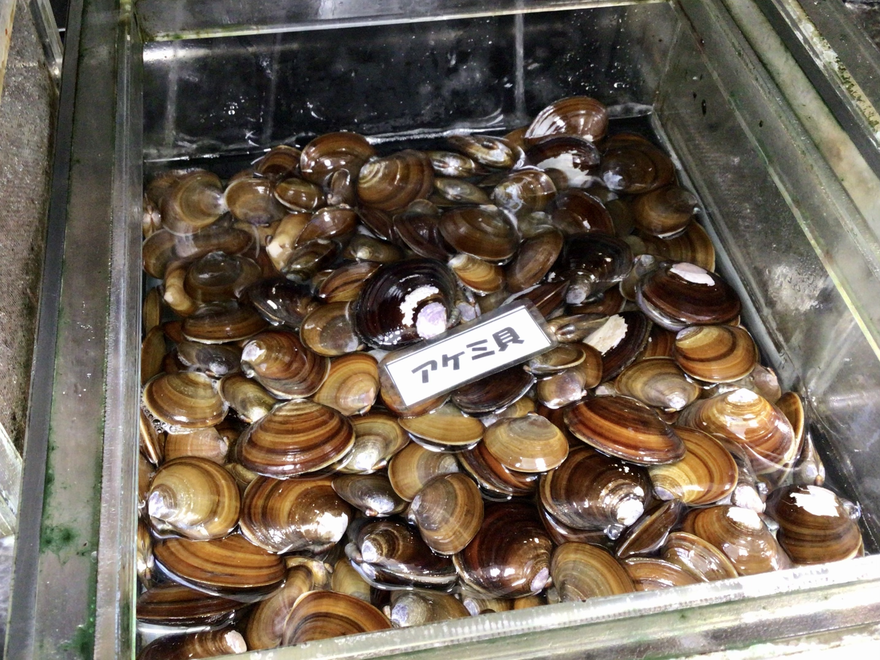 DC6E1CC6-C938-46FC-813B-7F1DB53EB030