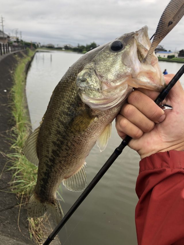 e3be5cef-674c-4092-90e8-725647da61da