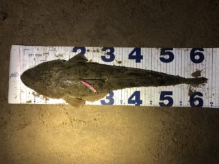 line_oa_chat_210729_161132