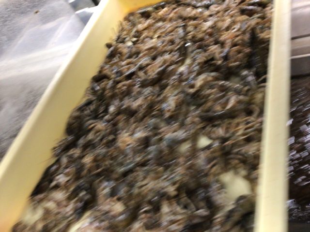 07E3951F-C6BD-445A-9101-99A6E099D9AD