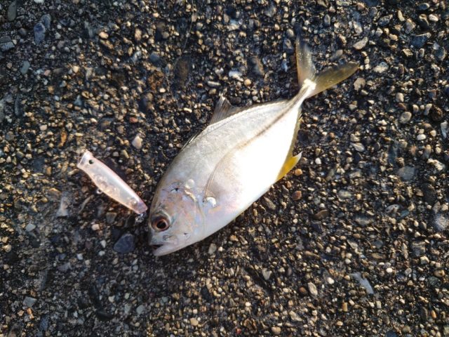 20211003_165700_copy_1008x756