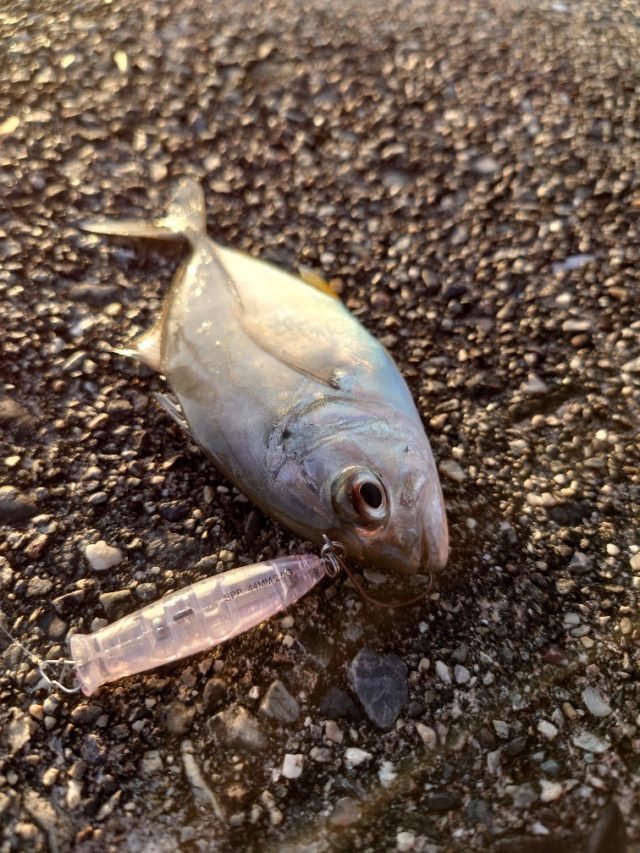 20211003_165705_copy_756x1008