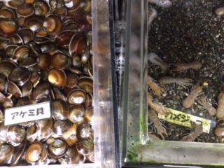 4A761C1A-68E3-4BC3-AA2F-BB9747E8493E