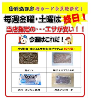 10月エサアプリ