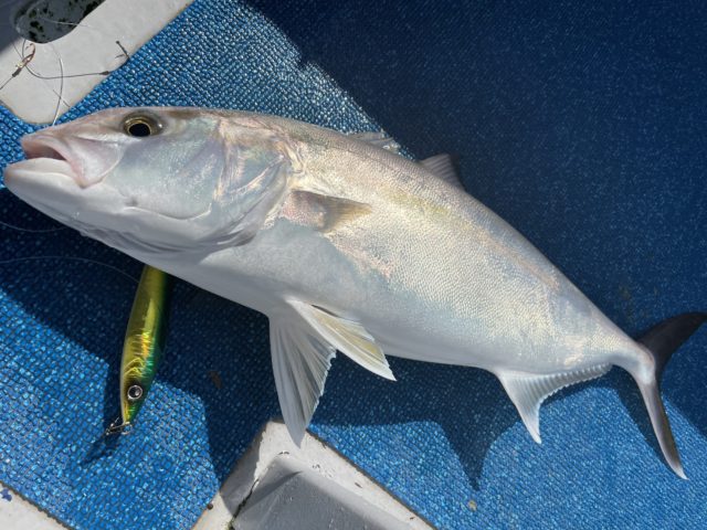 7E09C487-423D-427A-8EEC-EC1353C6674F