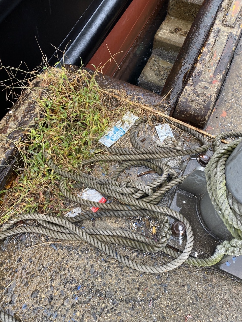 90855823-D723-4C71-9DC0-E082807B247A