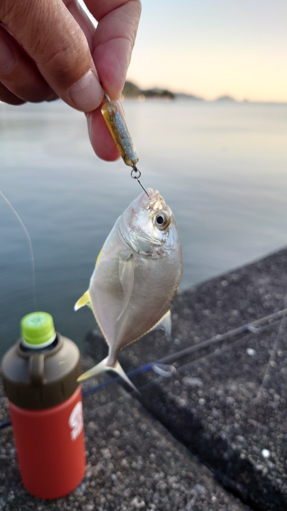 DSC_1886_copy_567x1008