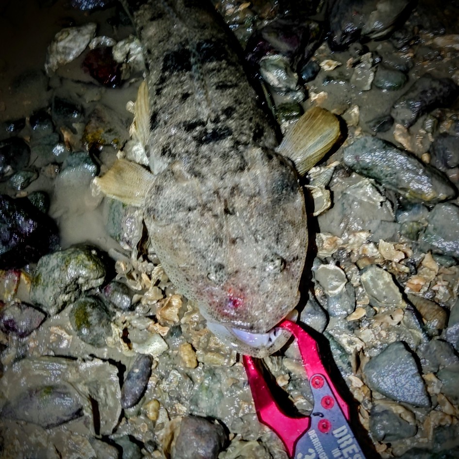 DSC_1900~2_copy_945x946