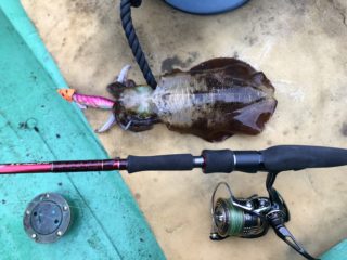 E7D5683D-C18A-4114-8371-2F7ABFE682CB