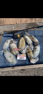 fca3546b-2730-418f-bbbf-91cbadbb0df1