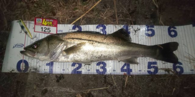 line_oa_chat_211019_132740