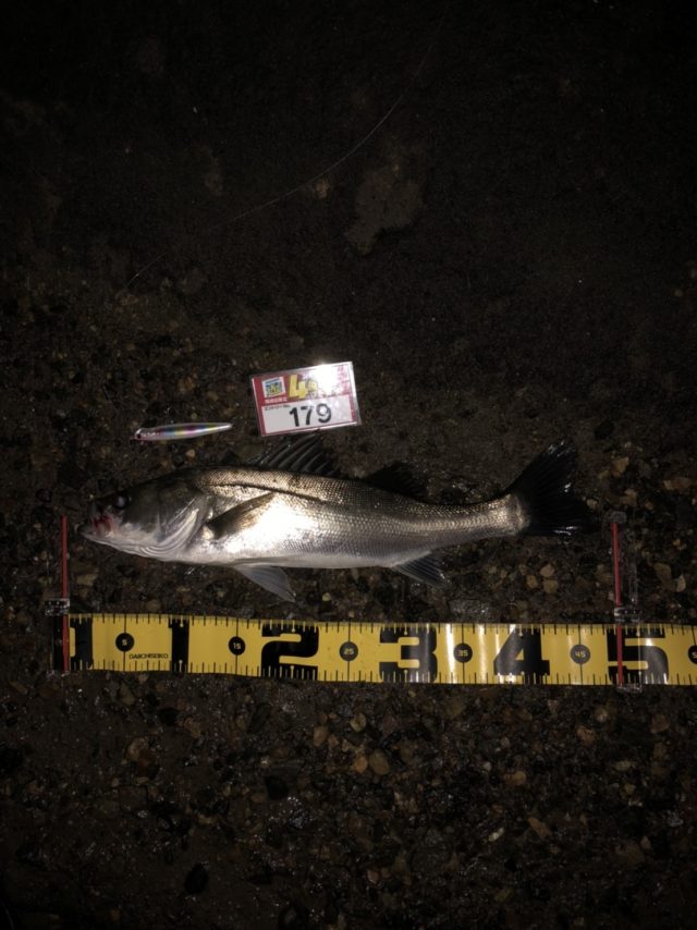 line_oa_chat_211019_133131