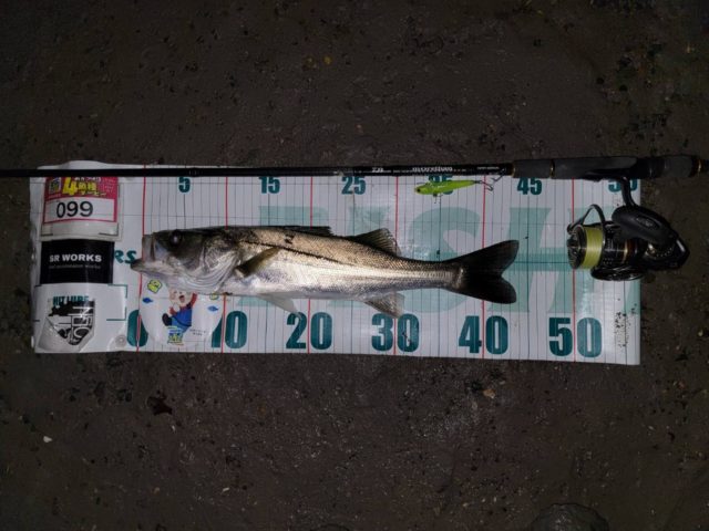 line_oa_chat_211019_133854