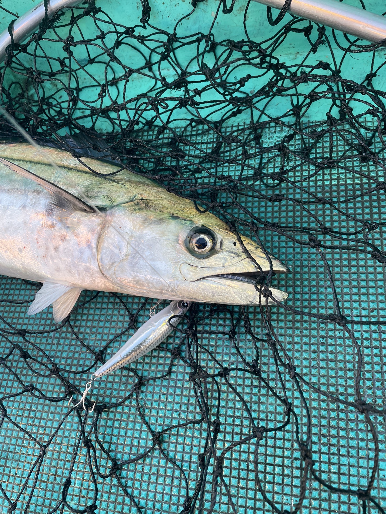 line_oa_chat_211030_180333