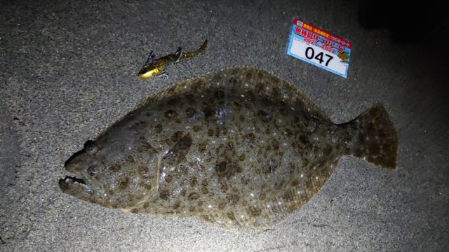 4g383LtO5Rrq0sfLuL_k_RKccgGsjNTHJtSaCca1aT3FT9_LDvW2ZmYrbfSinyPDHL0k47Fq-sb9B-dYoosFgq0Ezyvn8y1B4-2hFS1HMzF36RMPXczmy_FTbVyZSwek