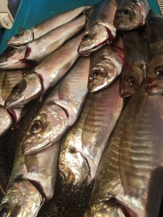 5C076FFE-9419-4304-B984-52415BBB6A1A-768x1024