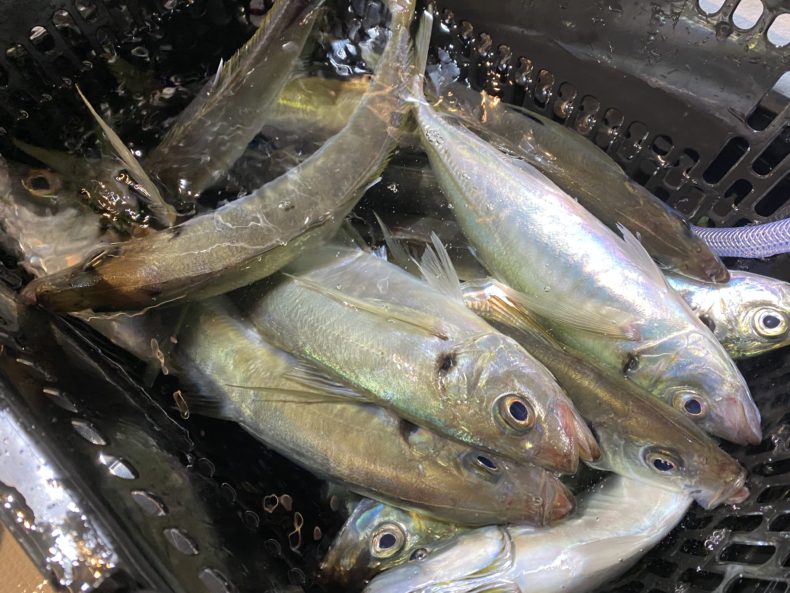 5E620B24-4A95-4C61-B96C-D56C3EC13CFA