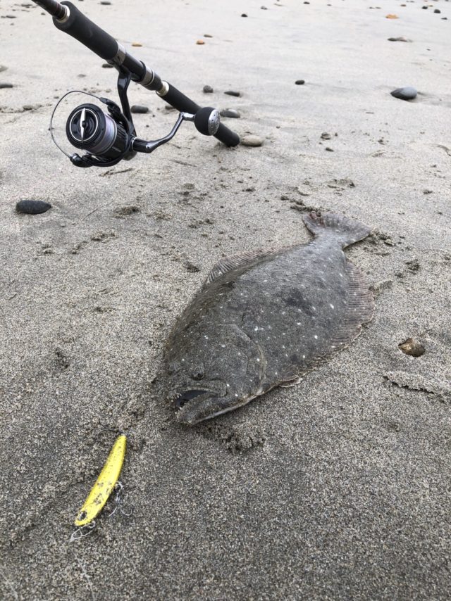 6WHKSTA896t379DvW6wFwOsWrqdPIrafEjiK4Q0AhaklteR1jkFGIu4LjeC_CnXK6Vk_rwiourJCNiL91y70i80Ej0Ft72UOhrS48J88hjBP36vyAH_KNbZsJAAoSiXn