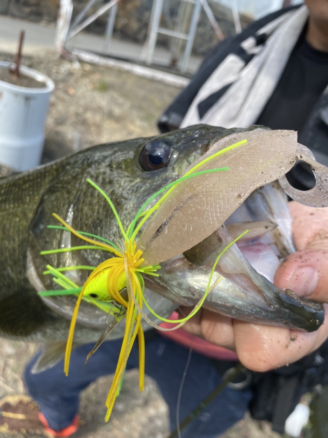 6gzl25-Hj-hVot04mNVpHDdXAt6sGX_5N-P3gXeLILowmzYNt5WXy11tJ9hDSn1VrQBYEUvaPfQkpK4qBpoLxb_fDmrpltOcSRBEH0wihSBjGYYyfXEU8e8JtFTbHte4