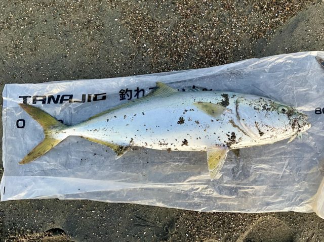 74945CCA-D5FD-4248-8691-59D71AF07A0C