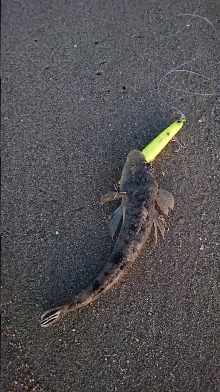 9d12426642983e58badb48fc61843371-DSC_0469