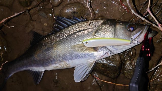 DSC_2254~3_copy_1222x687