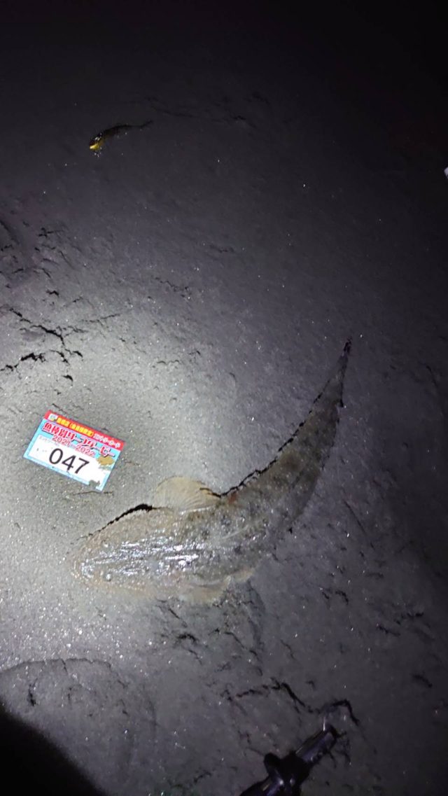 MRPgao20pSKdpaun0JlpbAD4tjo45Qt5GW4dxBzBRDUlkprqrdN-ksUTze5RFoFca9jTmfTl1GJ5WFF2aO_DppdFeaRagZKCCvrXJjlfZObiAFYao_nUHFfnlPXOqUoM