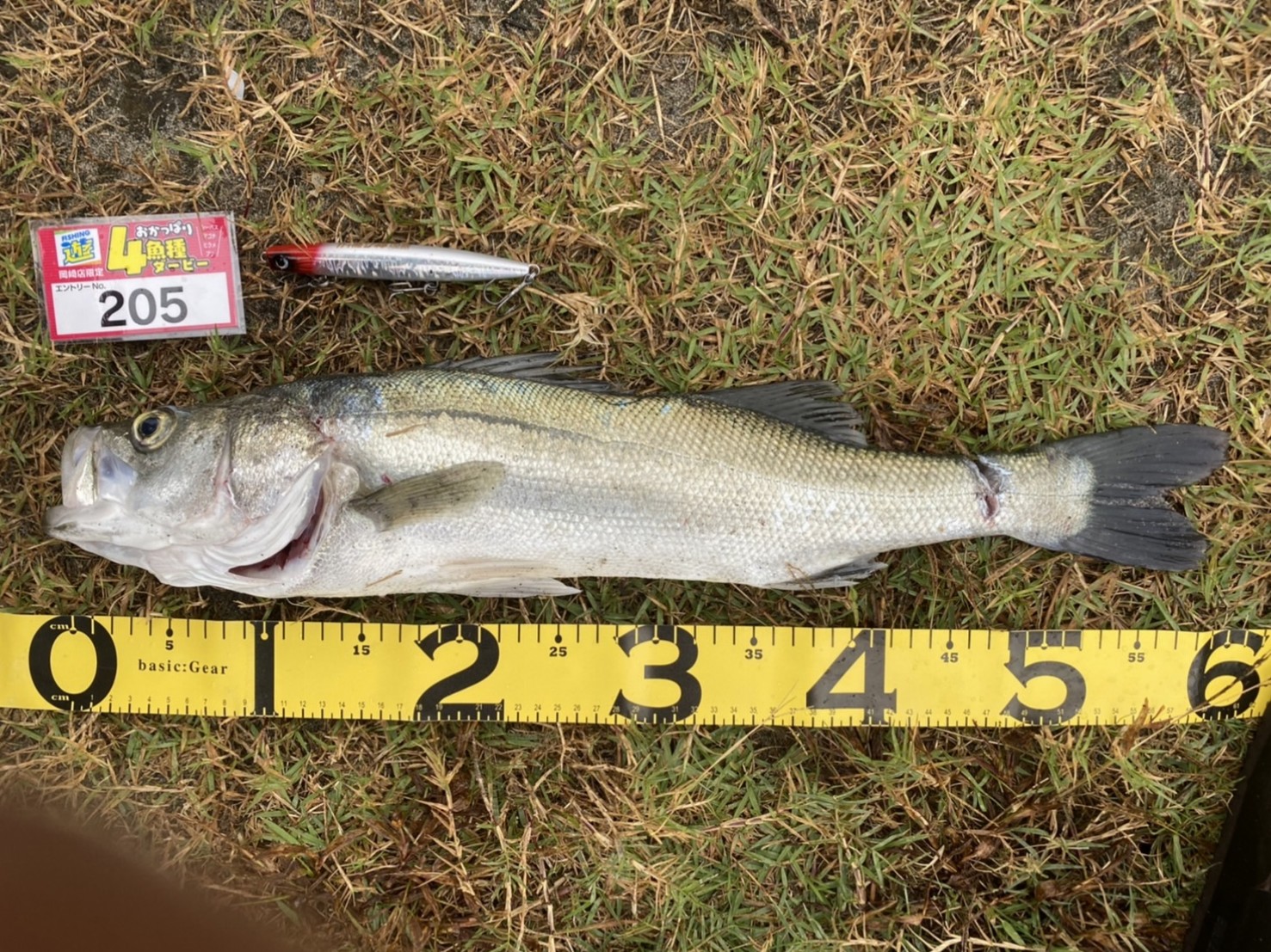 line_oa_chat_211029_175556