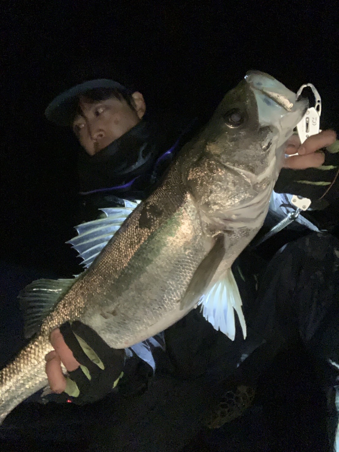 line_oa_chat_211029_185510