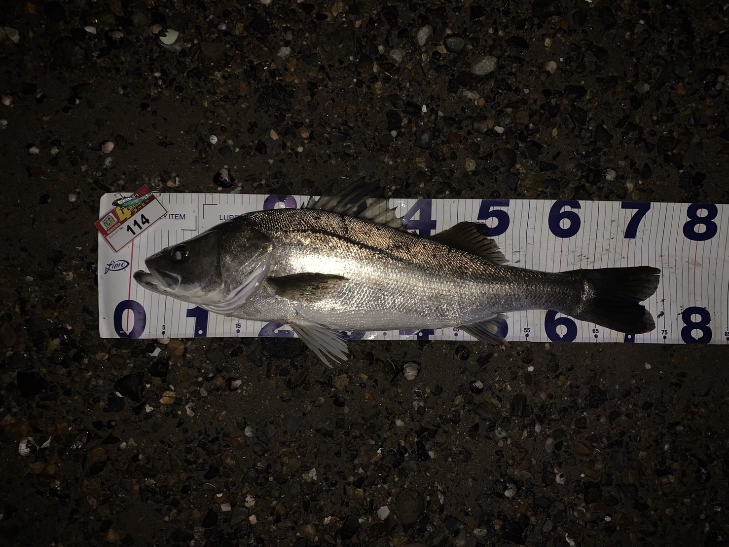 line_oa_chat_211029_185512