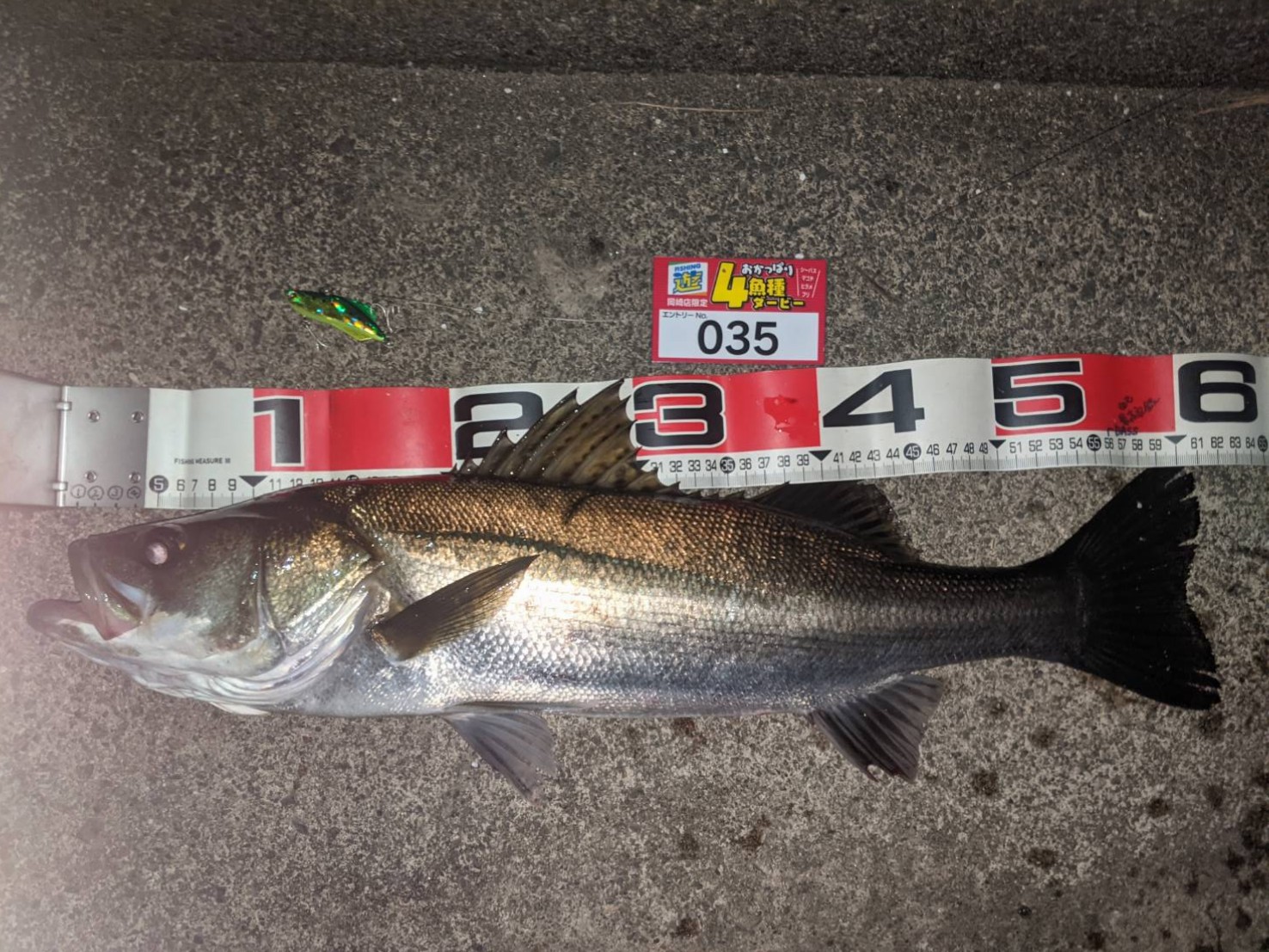 line_oa_chat_211029_191010